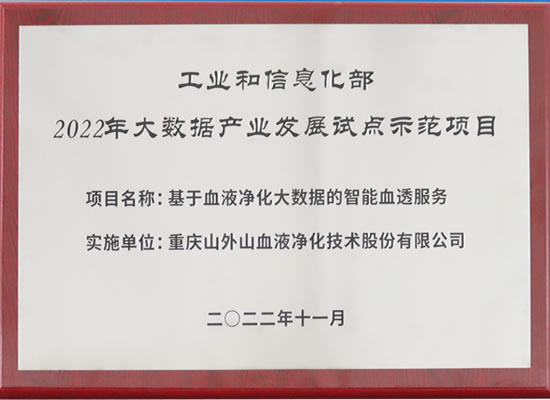 行業(yè)唯一！山外山公司入選“2022年大數(shù)據(jù)產(chǎn)業(yè)發(fā)展試點示范項目”